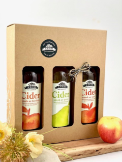 3 pk Cider